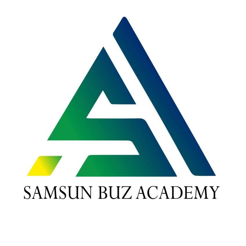 Samsun Buz Academy